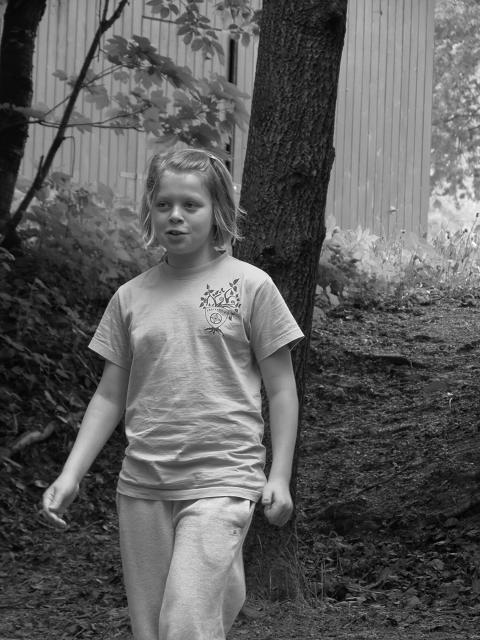 Jarní turnaje - 24.-26.5.2013