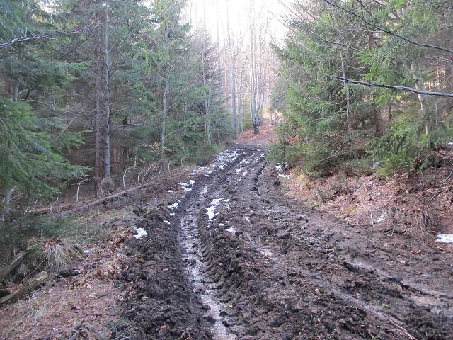 Výšlap s rodiči - Skalka - 28.12.2013