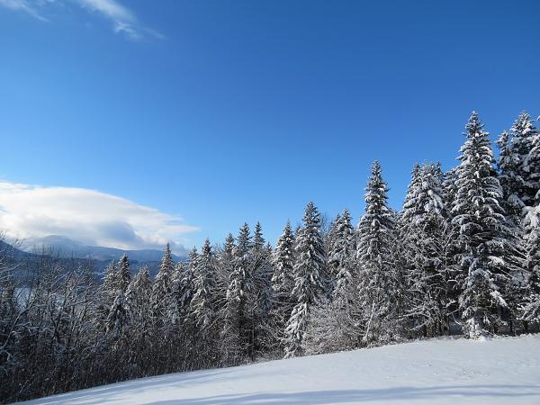 Zimní sraz - 12. 1. 2013