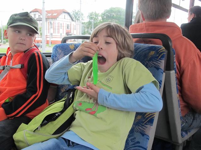 Divadlo loutek - 31.5.2014