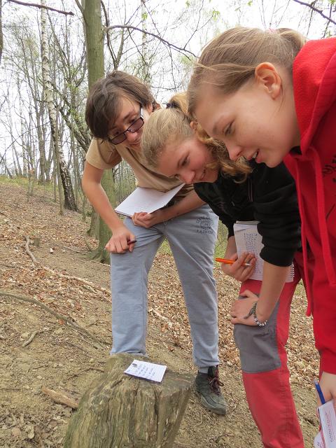 Kusalímo - 4.-6.4.2014