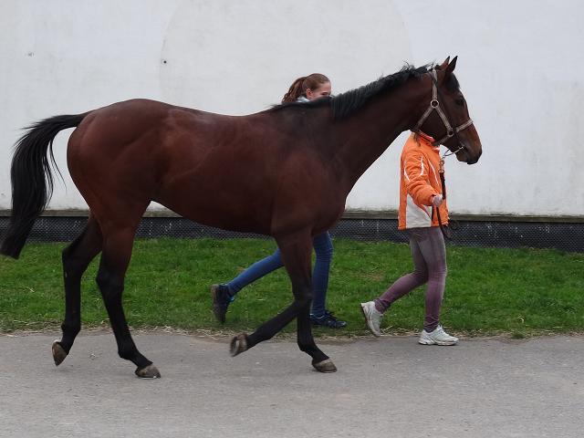 Klokočov - 17.-19.4.2015