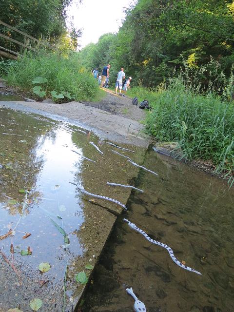 Tábor starší - 27.6-11.7.2015