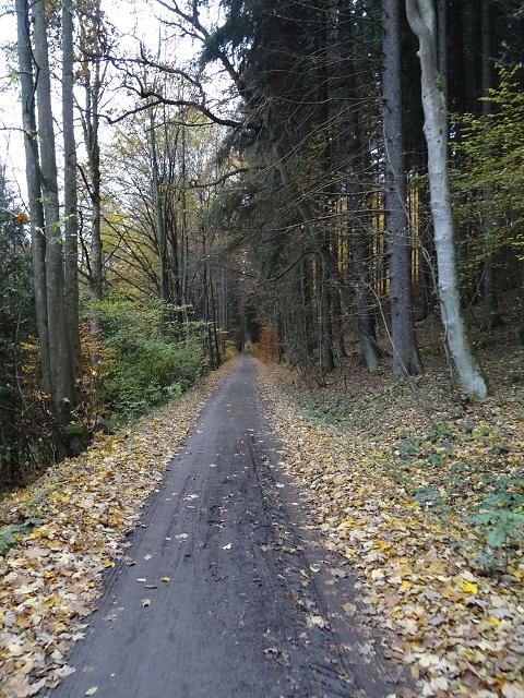 Podzimní tábor Dědov - 28.10.-1.11.2015