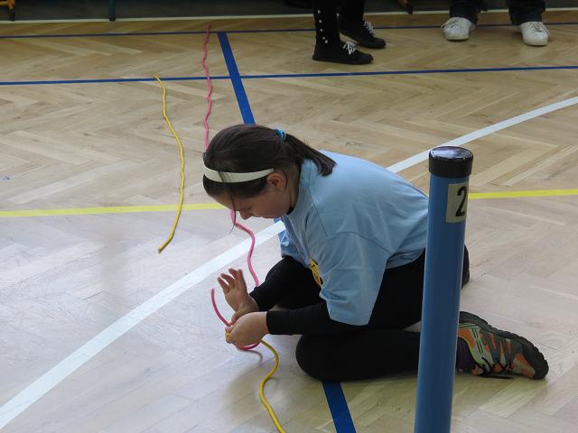 Uzlařská regata - 17. 1. 2015