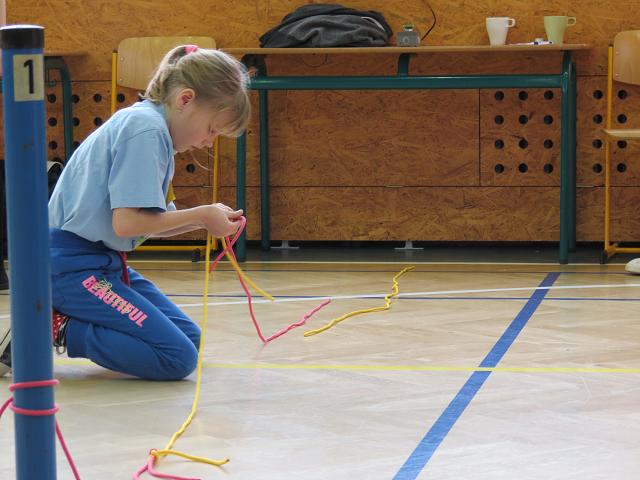 Uzlařská regata - 17. 1. 2015