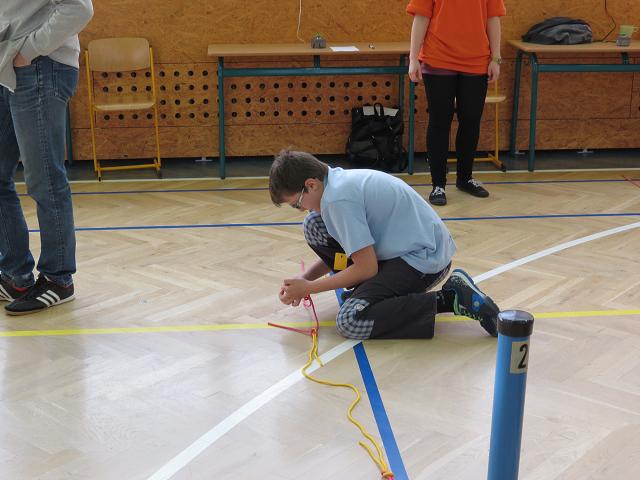 Uzlařská regata - 17. 1. 2015