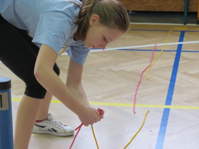 Uzlařská regata - 17. 1. 2015