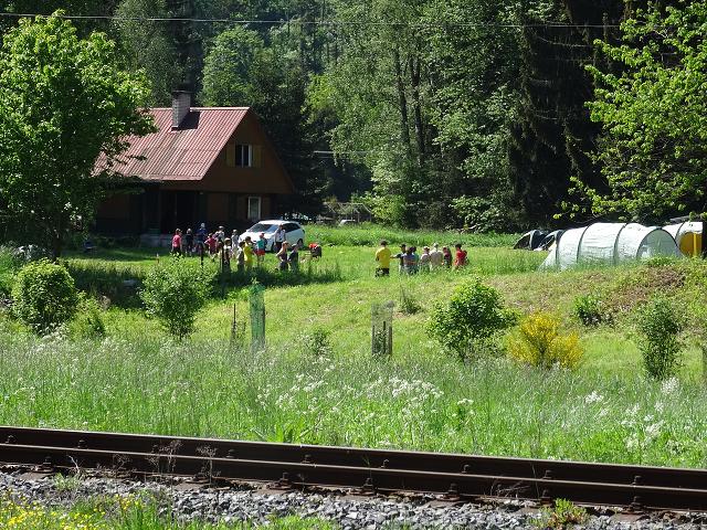 Jarní turnaje Š. Niva - 29.-31.5.2015 