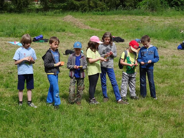 Jarní turnaje Š. Niva - 29.-31.5.2015 