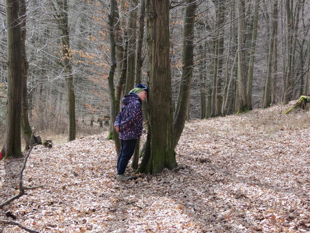 Pevnost - 17.-19.3.2017