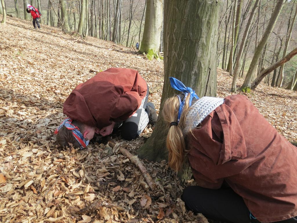 Pevnost - 17.-19.3.2017