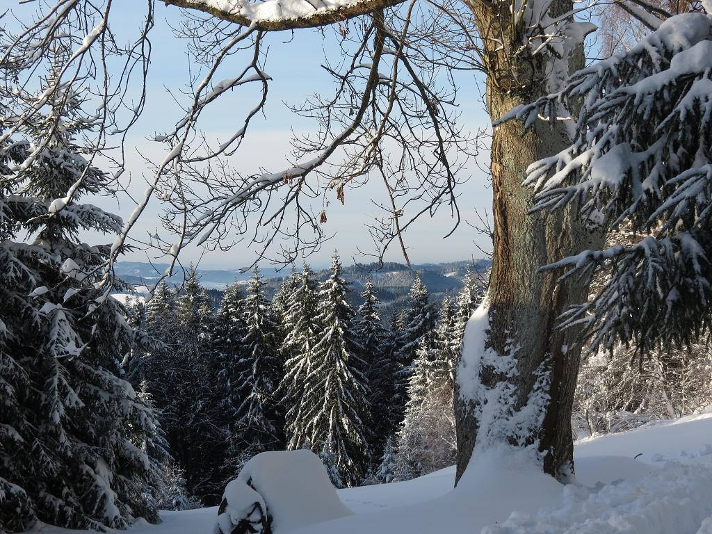 Mikulášská Polana - 2.-4.12.2016