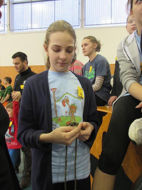 Uzlařská regata - 16.1.2016