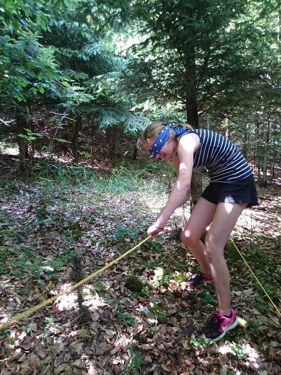 Letní tábor starší - 1.-15.7.2017