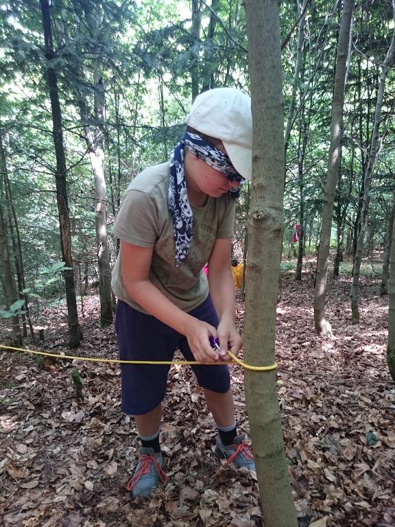 Letní tábor starší - 1.-15.7.2017