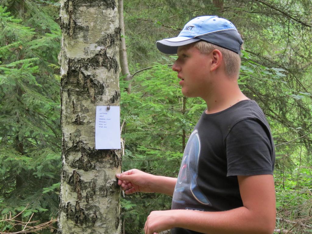 Letní tábor starší - 1.-15.7.2017