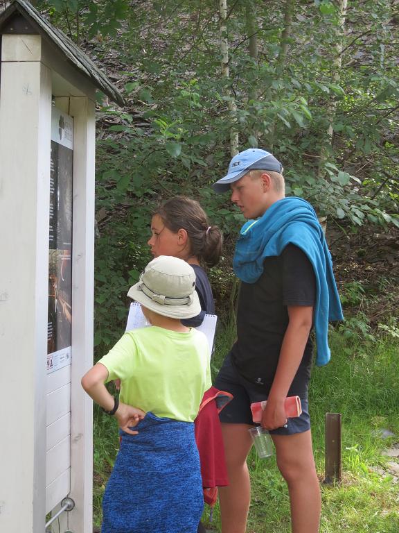 Letní tábor starší - 1.-15.7.2017