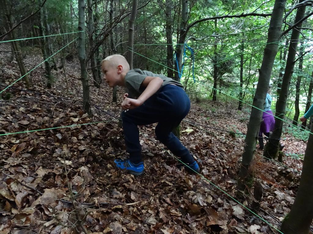 LT Medvíďata - 22.-29.7.2017