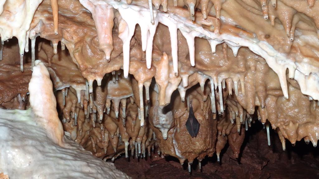 Moravský kras - 26.-29.10.2017 