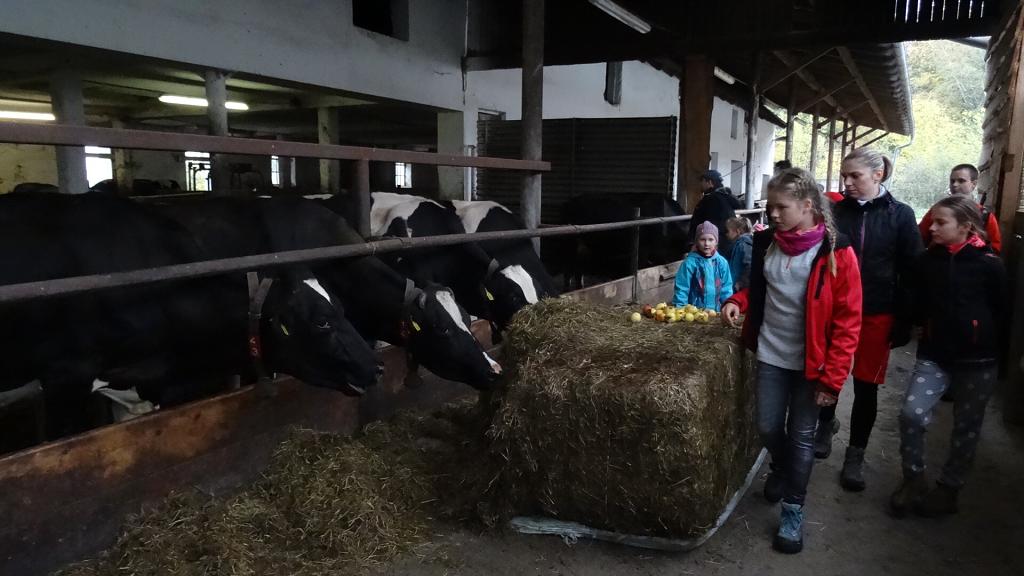 21.-22.10.2017 - Čeladná děti s rodiči