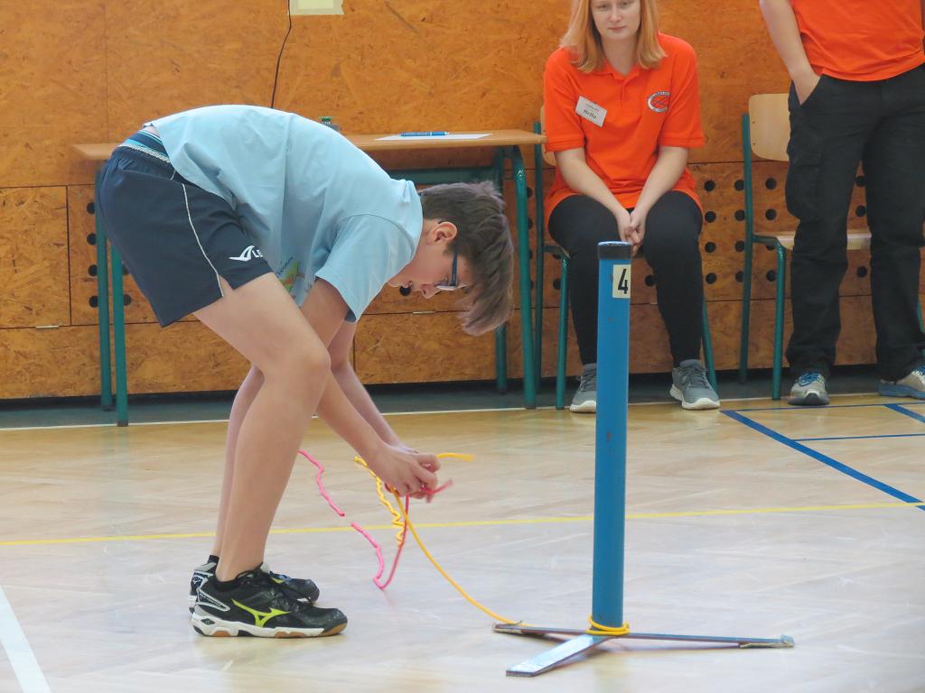 Uzlařská regata - 14.1.2017