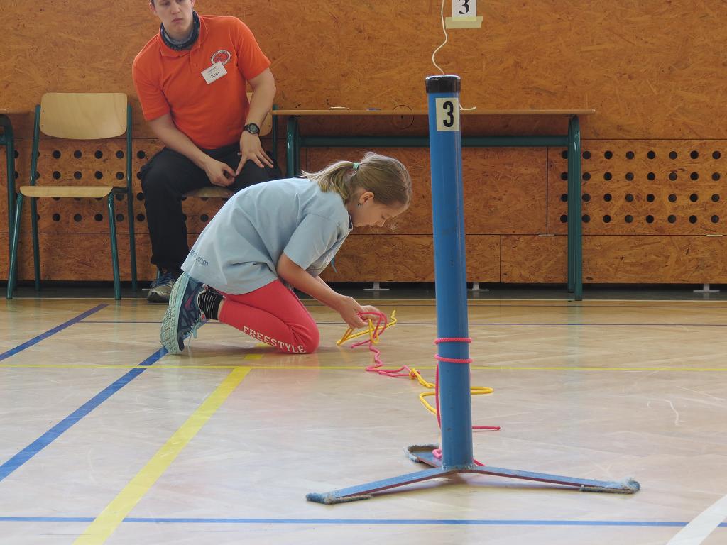 Uzlařská regata - 14.1.2017