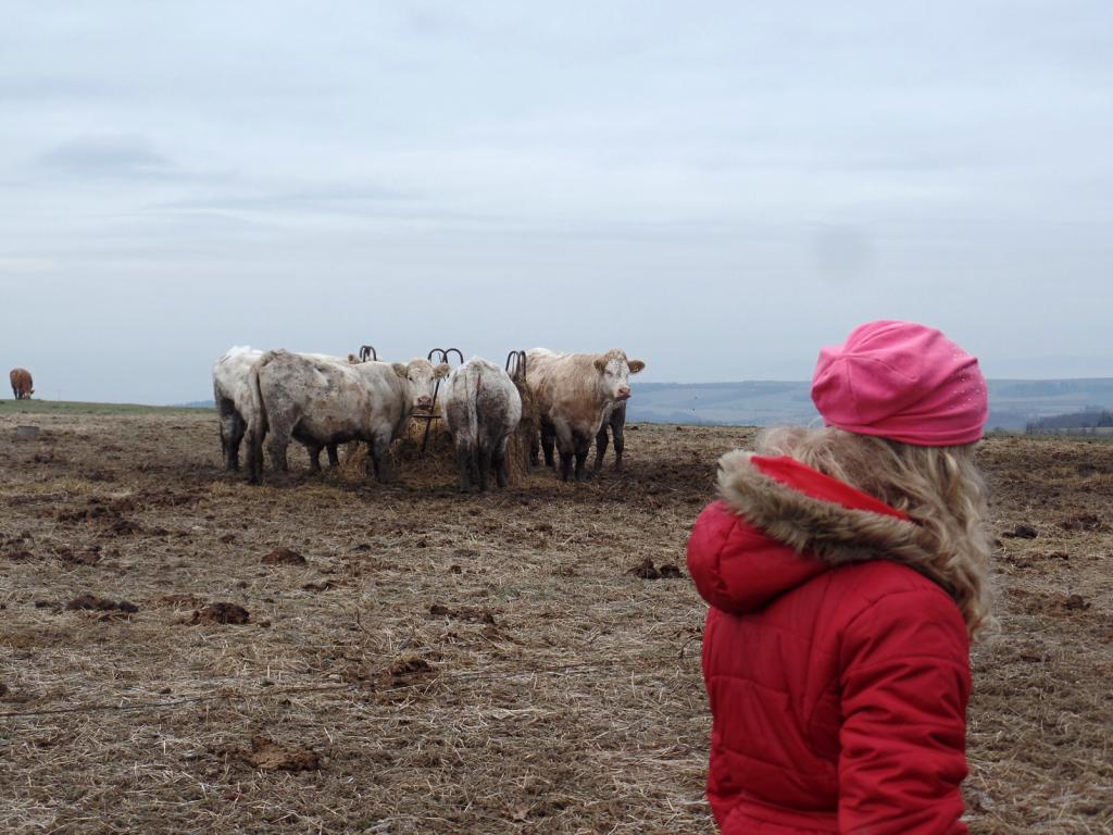 Vánoční kaménka - 15.-17.12.2017