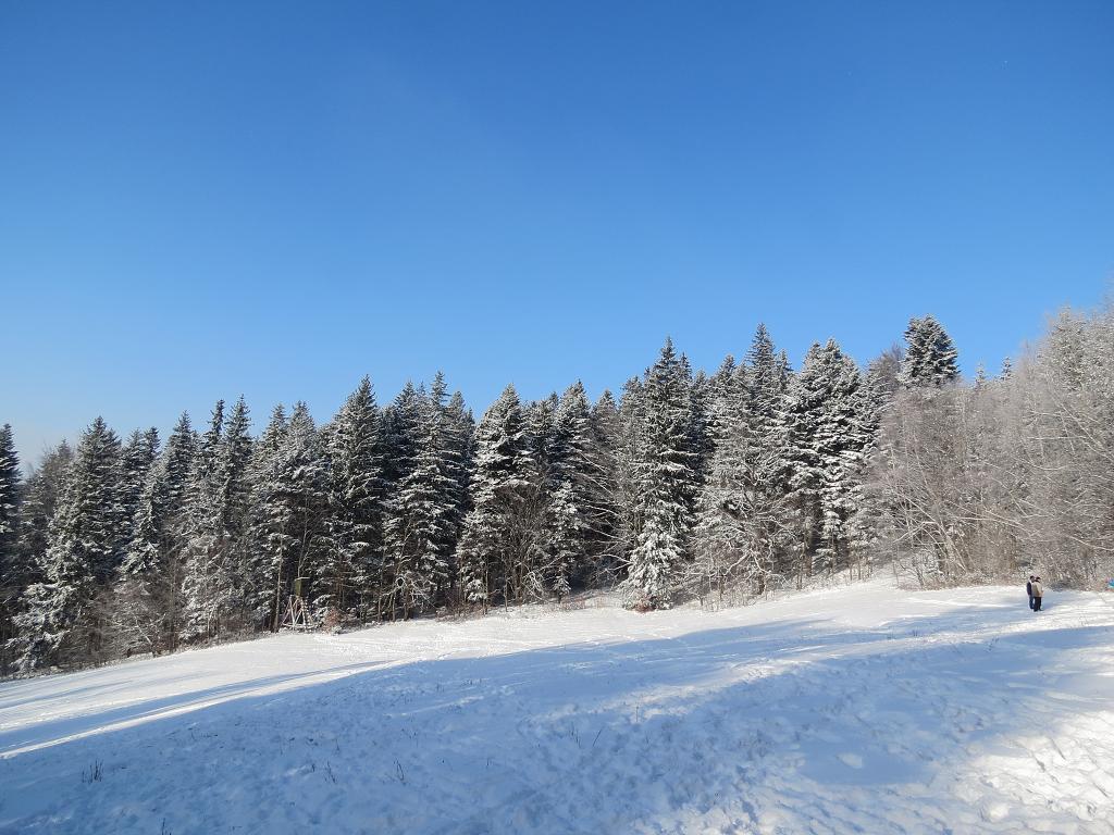 Zimní sraz - 7.1.2017