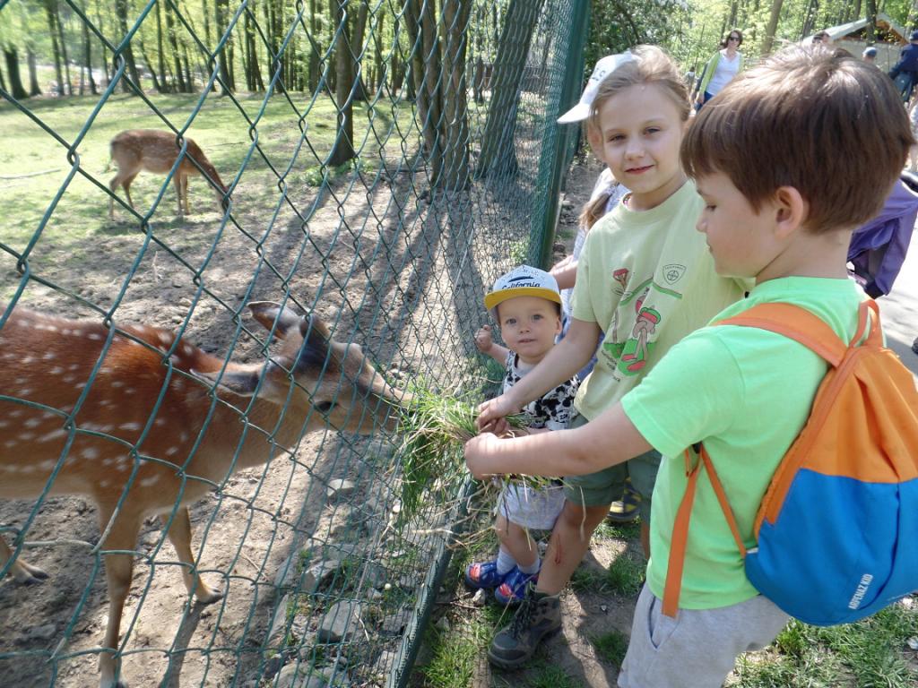 Landek + ZOO - 21.-24.4.2018