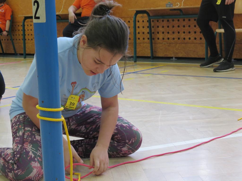 Uzlařská regata - 20.1.2018