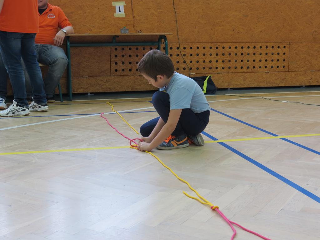 Uzlařská regata - 20.1.2018