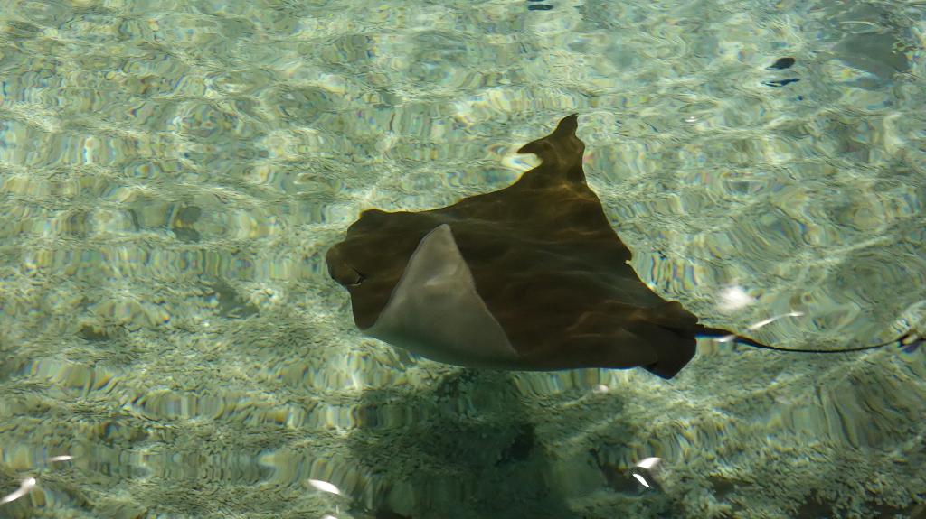 Podzimní prázdniny Zlín - 26.-31.10.2018