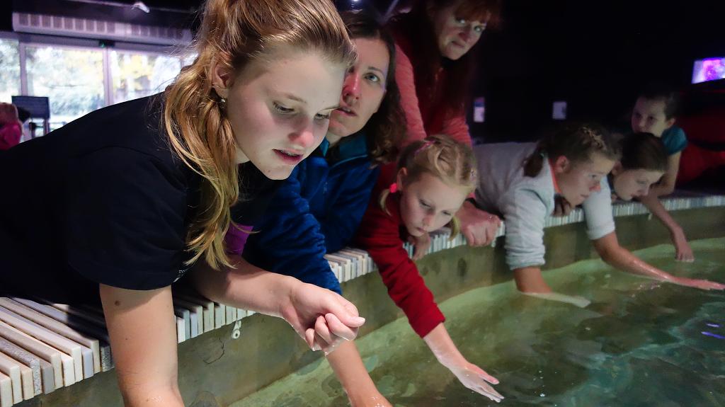 Podzimní prázdniny Zlín - 26.-31.10.2018