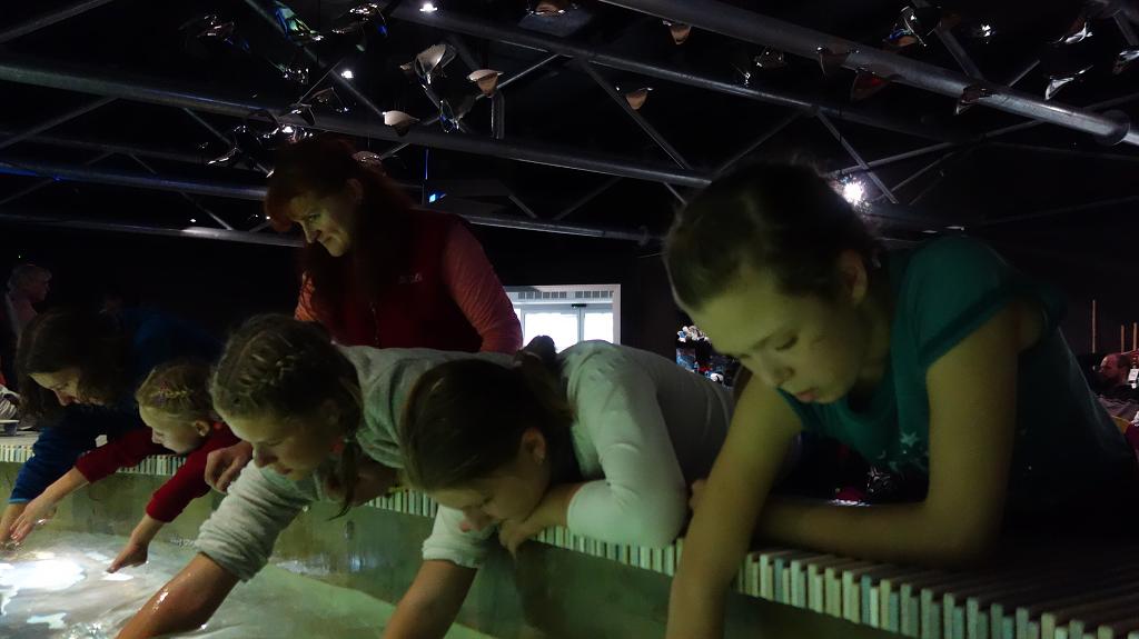 Podzimní prázdniny Zlín - 26.-31.10.2018