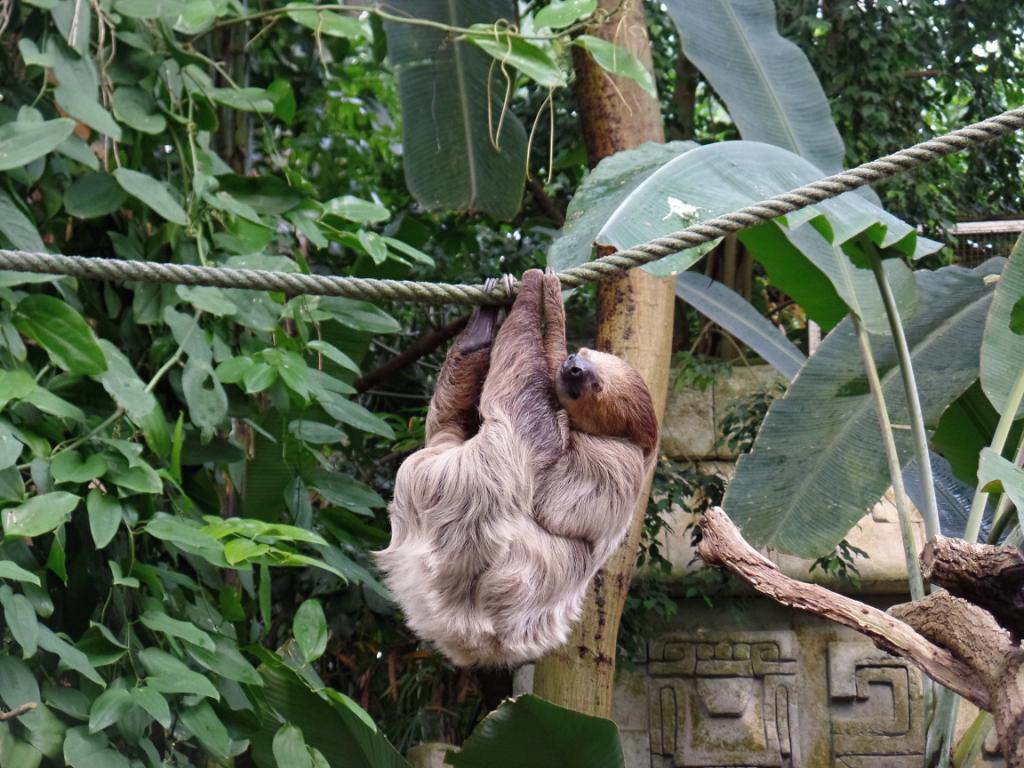 Podzimní prázdniny Zlín - 26.-31.10.2018