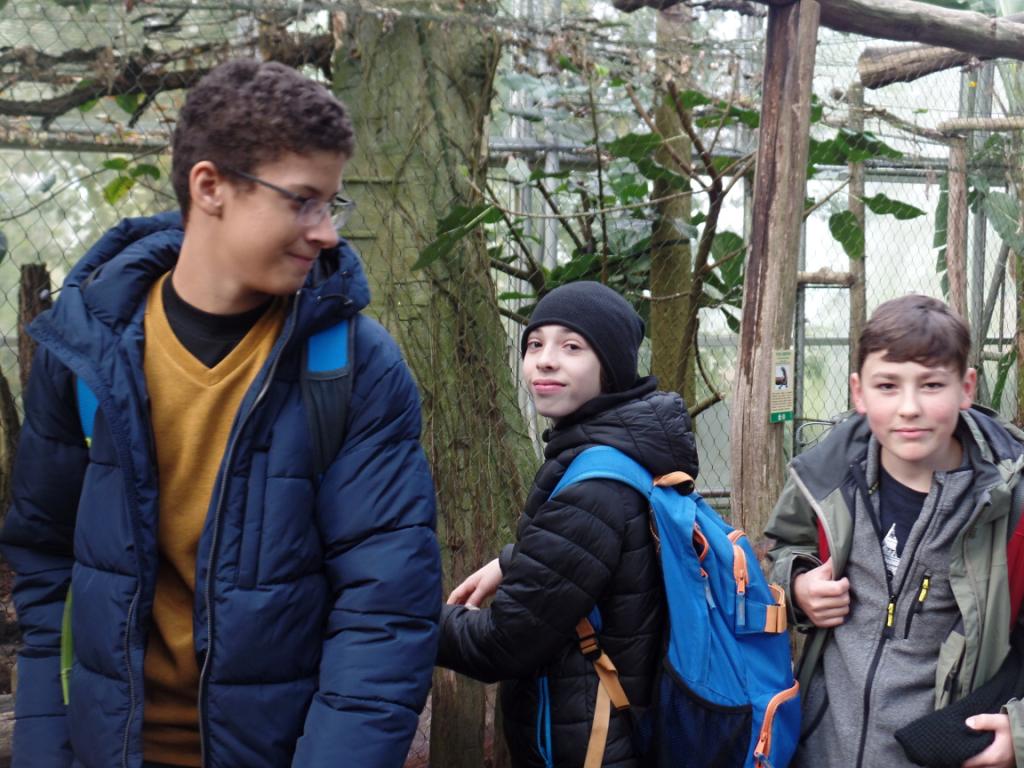 Podzimní prázdniny Zlín - 26.-31.10.2018