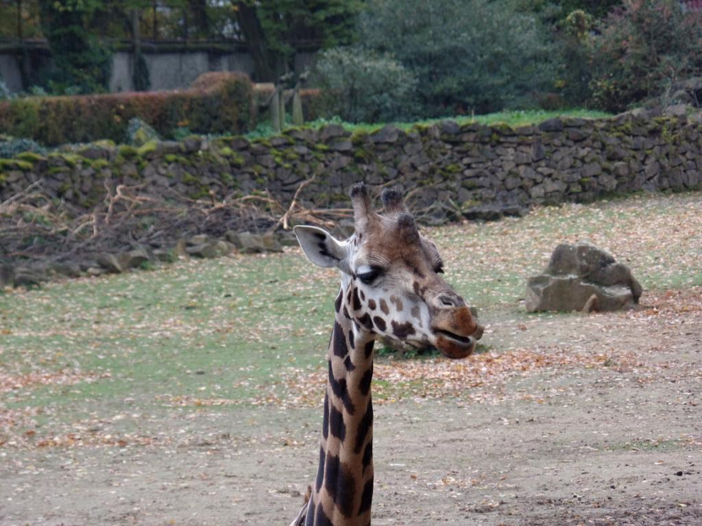 Podzimní prázdniny Zlín - 26.-31.10.2018
