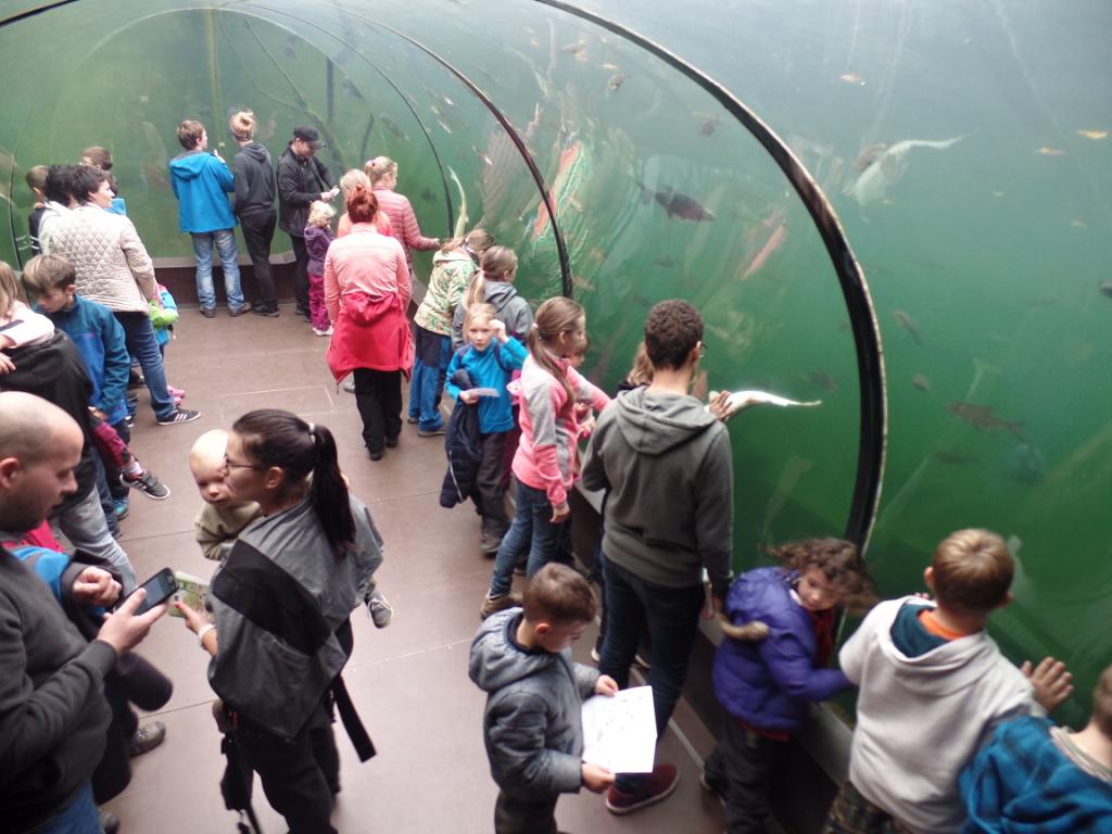 Podzimní prázdniny Zlín - 26.-31.10.2018