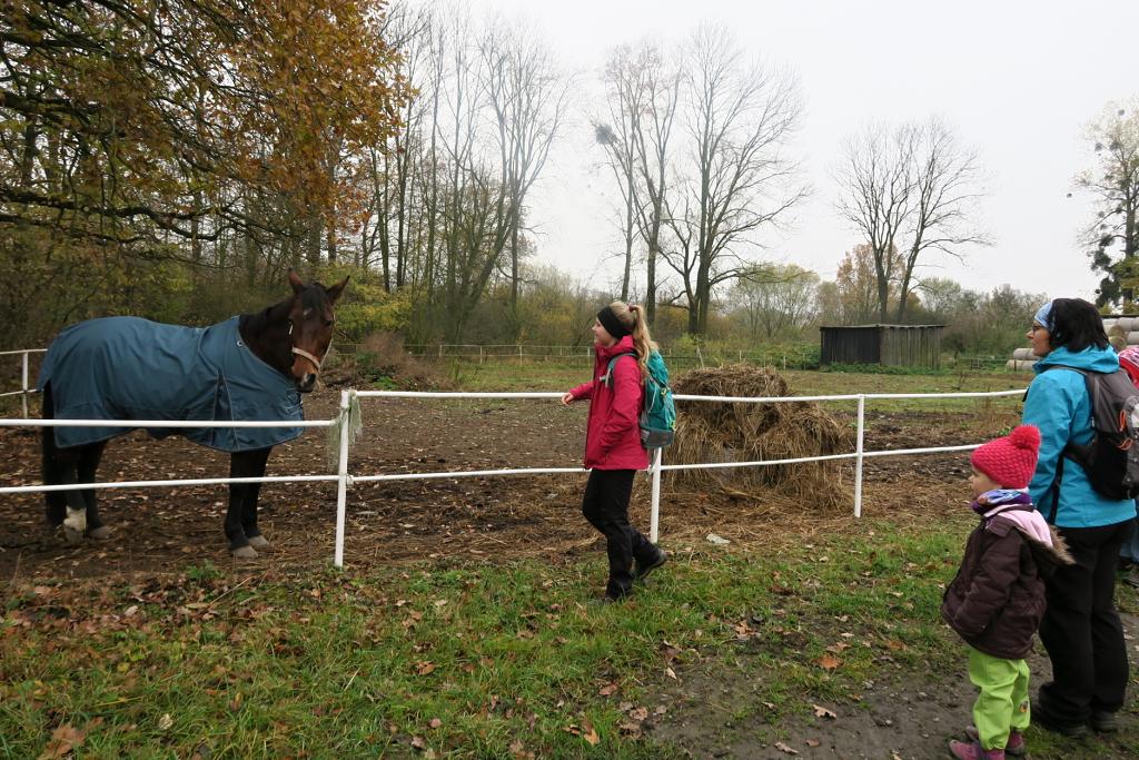 CHKO Poodří - 10.11.2019