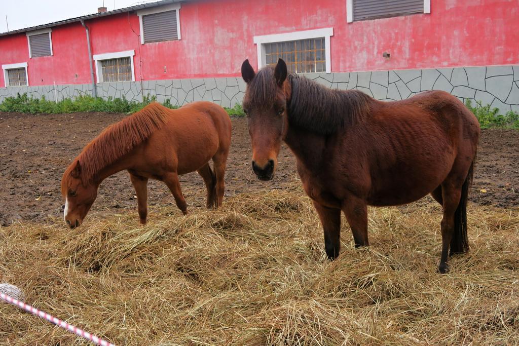 CHKO Poodří - 10.11.2019