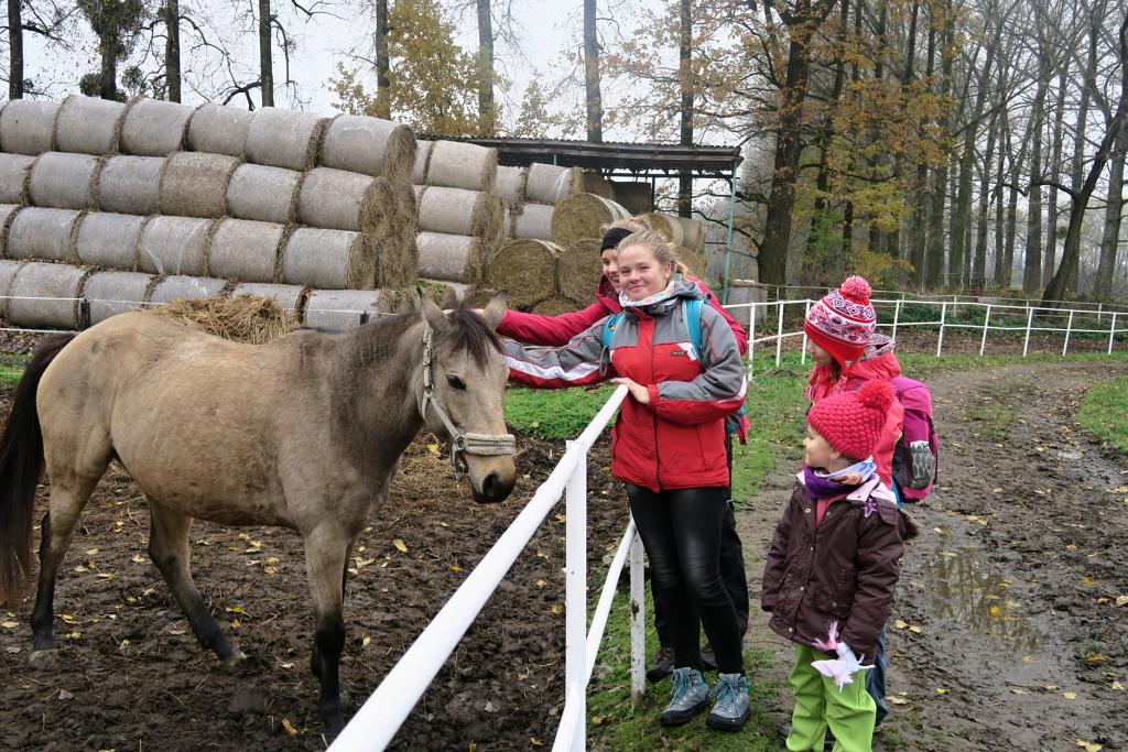 CHKO Poodří - 10.11.2019
