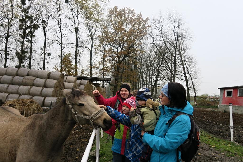 CHKO Poodří - 10.11.2019