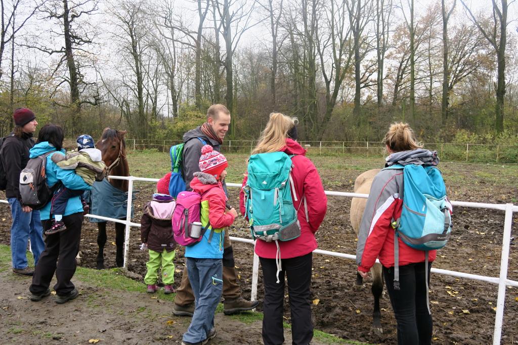 CHKO Poodří - 10.11.2019