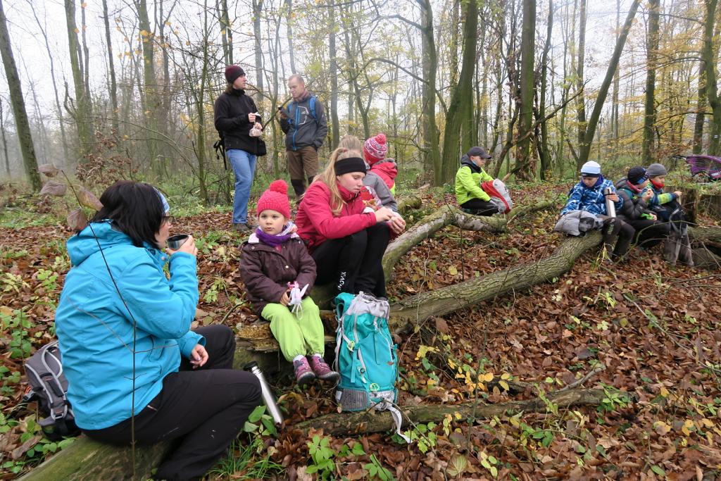 CHKO Poodří - 10.11.2019