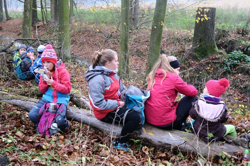 CHKO Poodří - 10.11.2019