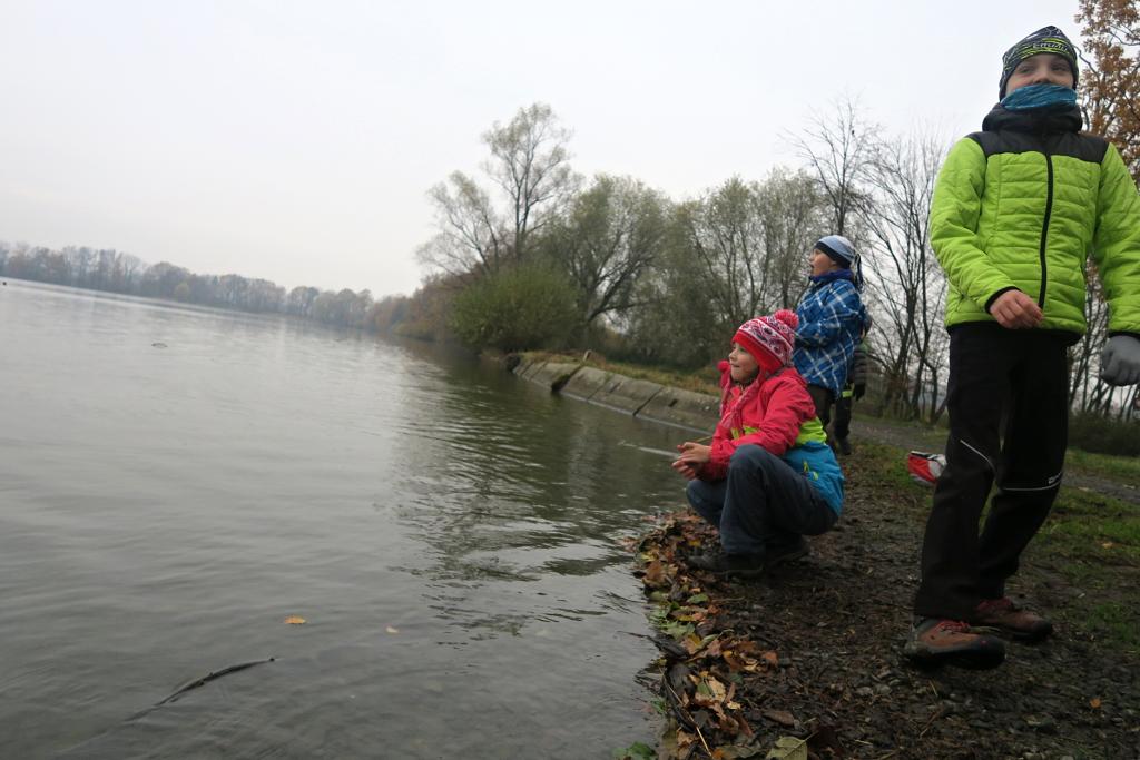 CHKO Poodří - 10.11.2019