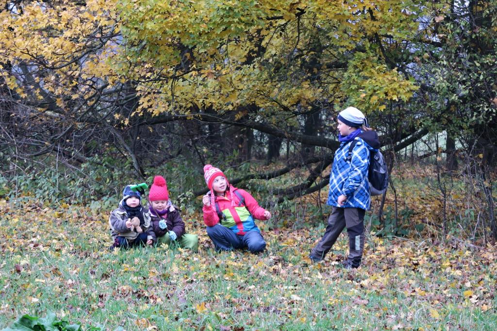 CHKO Poodří - 10.11.2019