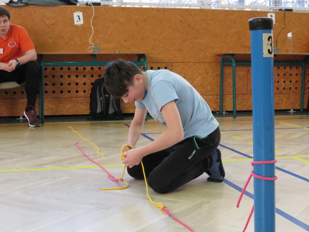 Uzlařská regata - 19.1.2019