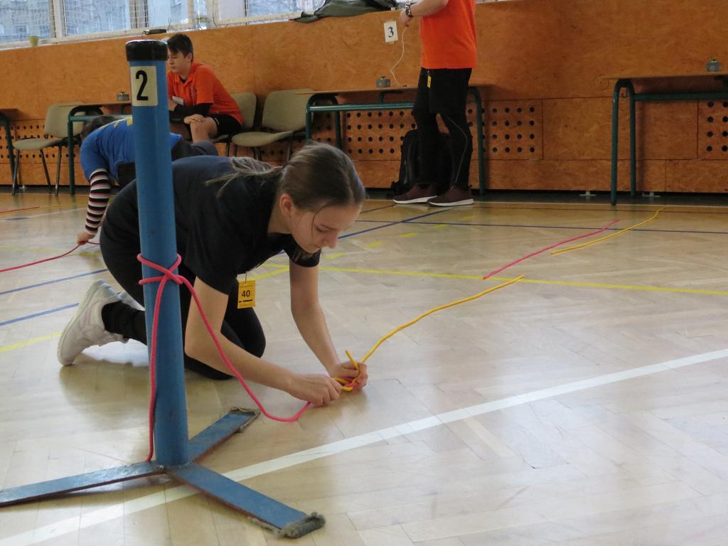 Uzlařská regata - 19.1.2019